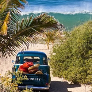 Meet your Posher, Leslie